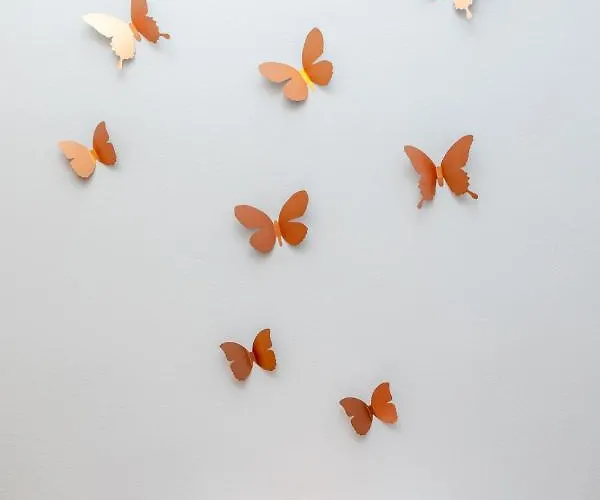 Connection Naxos Town *