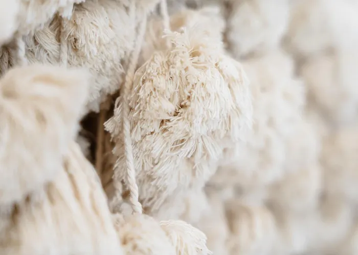 Connection Naxos Town